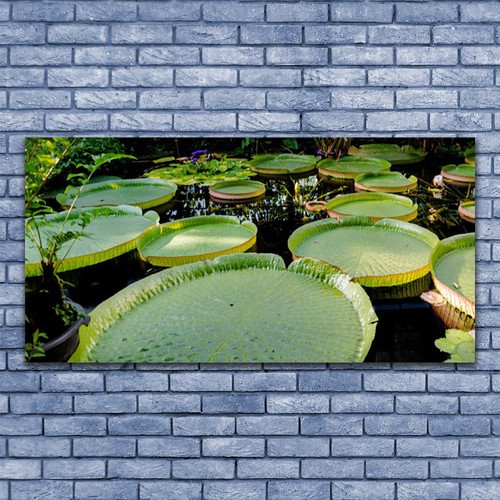 Glasbilder wandbild druck auf - glasbilder,