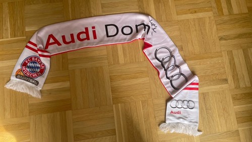 Bayern basketball audi dome - fc,