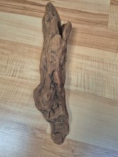 ausgefallen extravagant Rinde