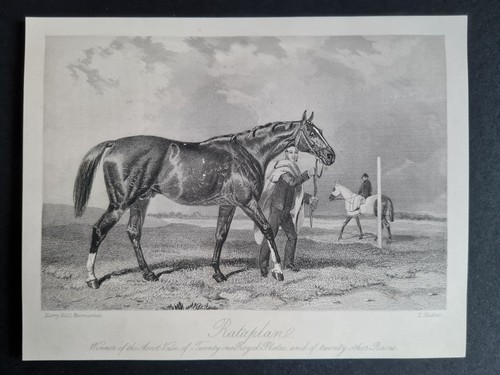 Antiker druck von 1856 - antiker,