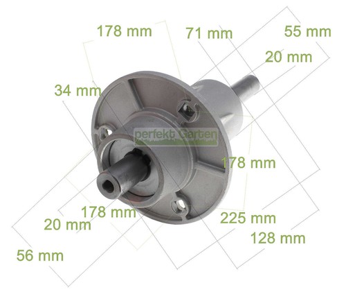 Messerspindel links castel - links,
