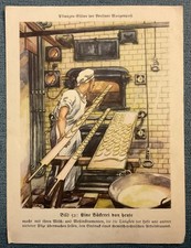 Natur-Bilder + Berliner Morgenpost + Sammelkarten + 1933+Bild  52 /2504