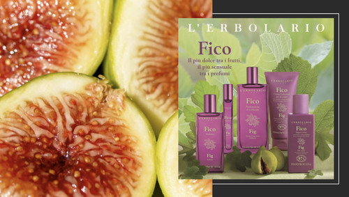 Herbolario lodi fico - l'herbolario,