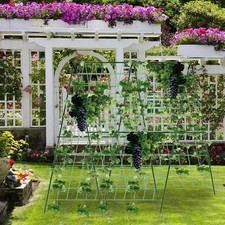 Klettergitter Gurke Rankhilfe