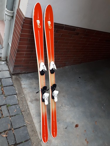 Salomon freeride ski skier - salomon,