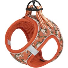 Hundegeschirr Kleine Hunde