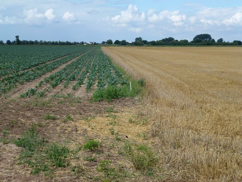 Foto gartenbau trifft - a2,