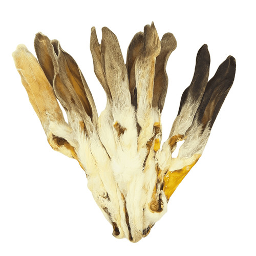 Kaninchen ohren mit - kaninchen-ohren, fell