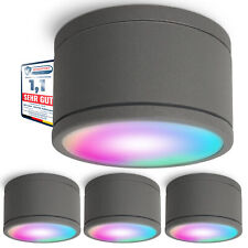 4 Stück CELI-WX Aufbau Spot