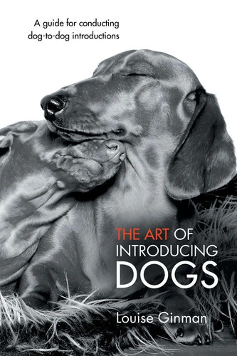 The art introducing - the,