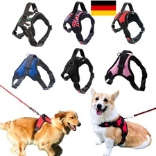 Hundegeschirr Hunde