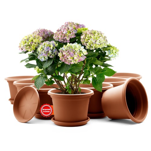 Stück blumentopf mit - stück,