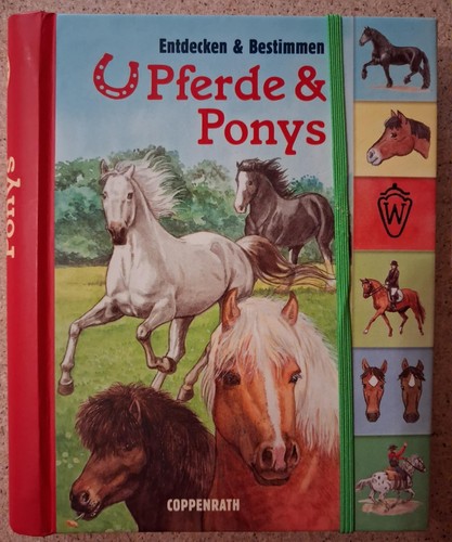 Buch pferde ponys - -,