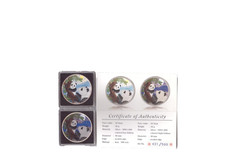 china Panda 10 Yuan 2021