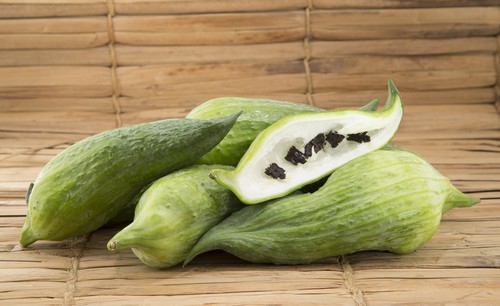 Gute samen inkagurke - gute, saatgut