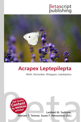 Acrapex leptepilepta moth - acrapex,