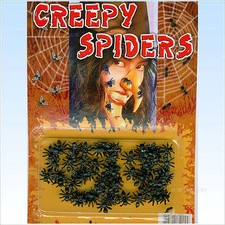 Viele kleine spinnen spiders - kleine,