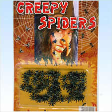 Viele kleine Spinnen Spiders