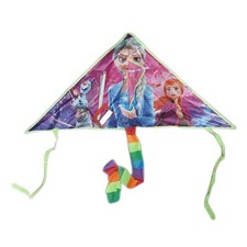 Thingehoy Drachen Kinder Drachen Spielzeug Flugdrachen Kinder Outdoor Frozen