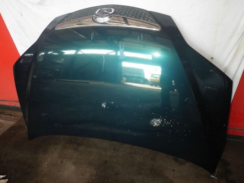 Motorhaube aquarius blue - aquarius,