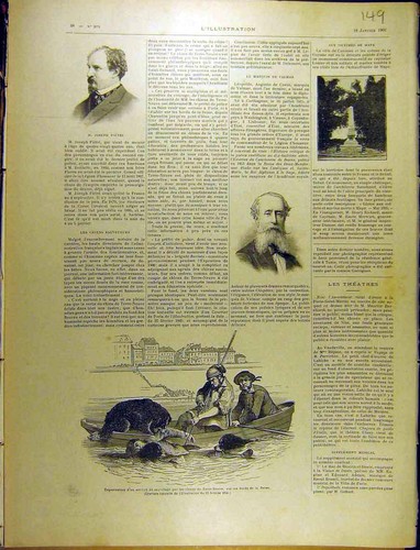 Alter antiker druck 1902 - antiker,