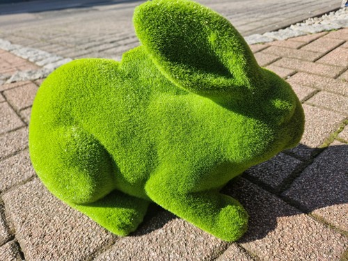 Deko hase mit - deko, –