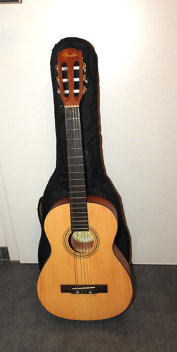 Gitarren fender acoustics - gitarren,,