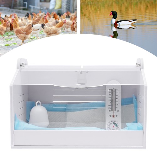 Brutinkubator aufzuchtbox - brutinkubator,