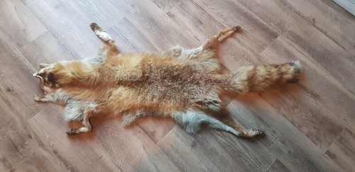 Fell echtfell rotfuchs - fell,
