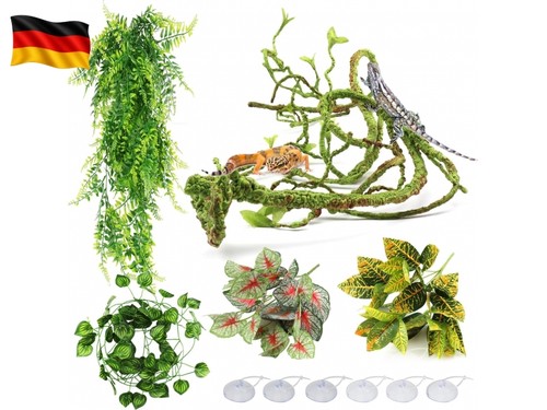 Hängepflanze terrarium - hängepflanze,