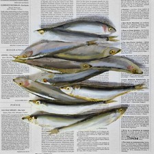 Sardinen Bild Gemälde auf