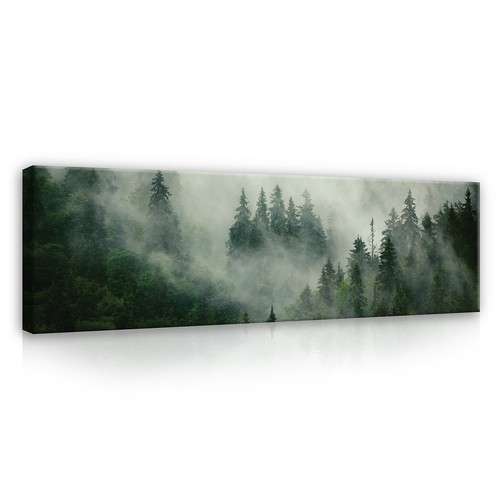 Wald nebel natur leinwand - wald,