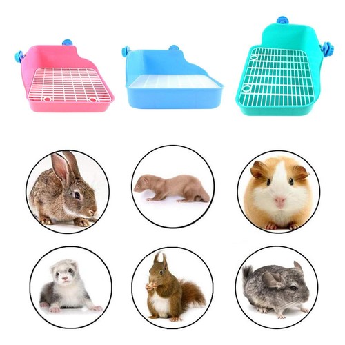 Kaninchen box trainer - box,