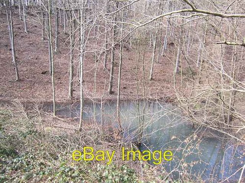 Foto 6x4 teich wyre - foto,