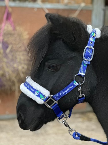 Pferdekopfhalsband führstrick - pferdekopfhalsband,