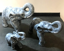 Afrikanische   Elefanten-Kuh