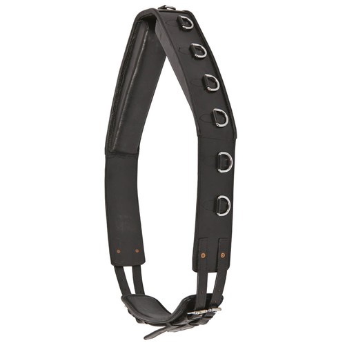 Longiergurt leder - longiergurt,