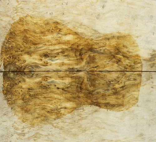 Gesalzen vogelaugenahorn holz - gesalzen,