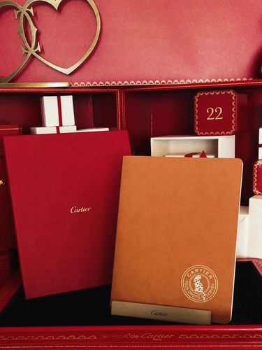 Malbuch cartier panther - cartier,