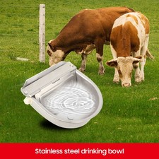 Schwimmertränke Schwimmer