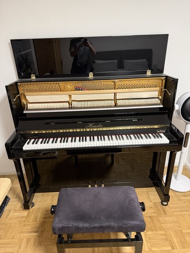 Haessler konzertklavier h124 - haessler,