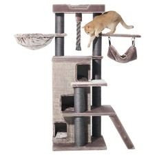 Nobby Kratzbaum Raya