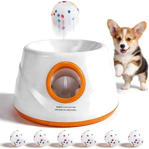 Hund ballwerfer - hund,