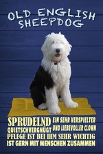 Holzschild 18x12 cm Old