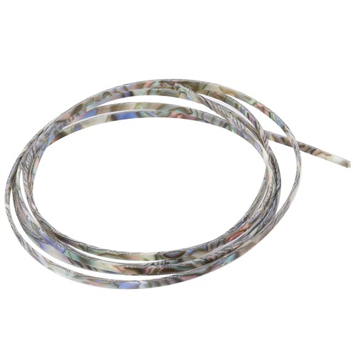 Musiclily abalone shell - musiclily,