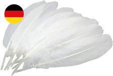 100 Stück 15,2-20,3 cm weiße