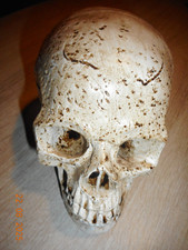 Figur Totenkopf Deko-Kopf