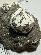 Leucit, selten aus Italien, Mineralien N° 333/B5