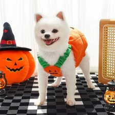 Halloween Haustierkostüm Hund