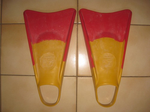 Fins flossen m - fins,